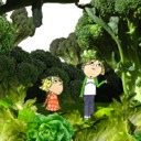 Broccoli and lettuce jungle fantasy